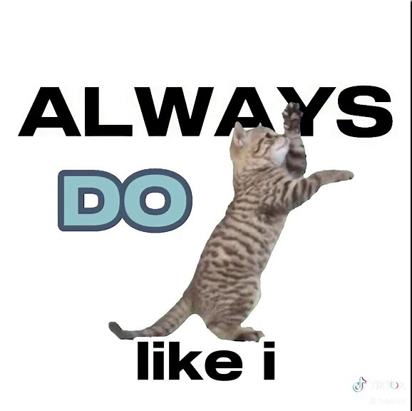 Cats Silly Dancing Animation Meme Stockdancing Love