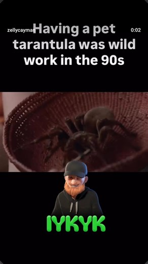 9.4K views · 28K reactions | Who else had a pet tarantula in the 1990's/early 2000's? Tell us your craziest husbandry or care stories in the comments! #tarantula #spider #pettarantula #animals | The Tarantula Collective | Facebook