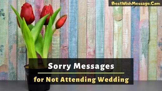 45  Sorry Messages for Not Attending Wedding - Apology Letters