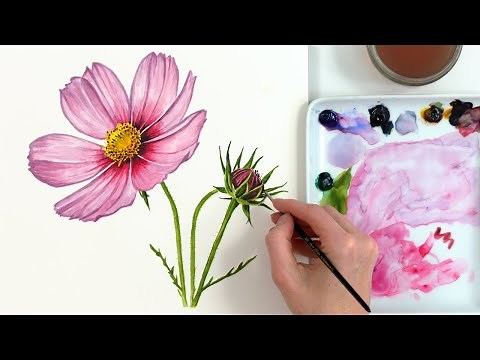 Daisy watercolor painting tutorial | realistic Cosmos flower