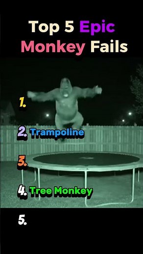 Top 5 Epic Monkey Fails Ever