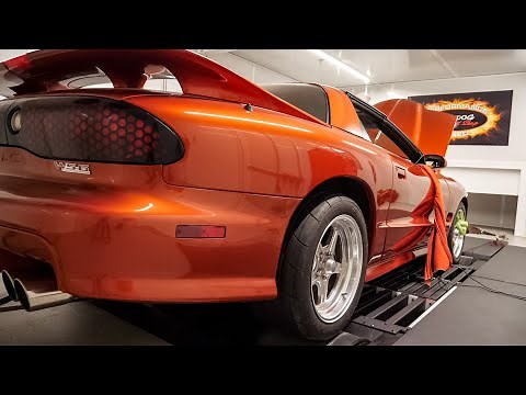 2002 Trans Am WS6 E85 Conversion, Intercooler Upgrade, Dyno Tune | Blackdog Speed Shop