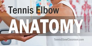 Tennis Elbow Anatomy Video: The Extensor Carpi Radialis Brevis Tendon