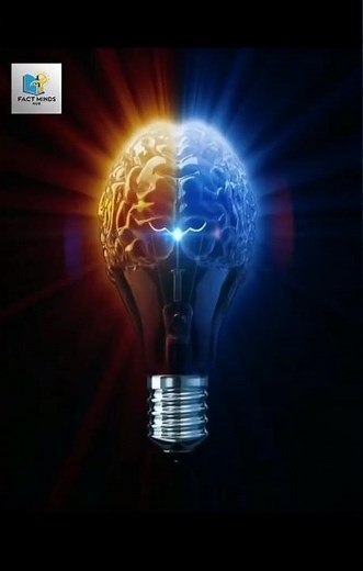 Amazing Facts About Human Brain 🧠🤯 | Mind Blowing Brain Facts | Fact #162