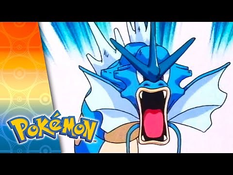 The Best Water-Type Pokémon Moments | Pokémon Season 1, 2 & 3