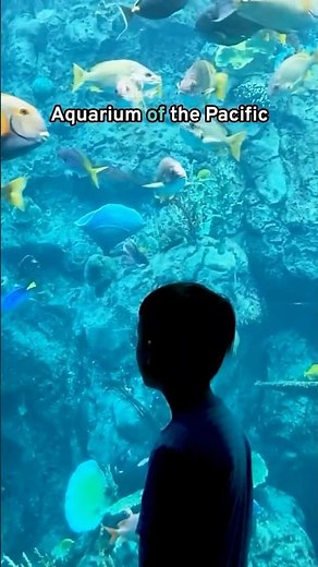 🐠 Long Beach Aquarium of the Pacific with Go City Pass