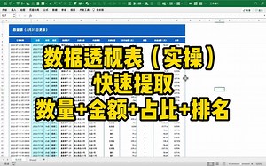 Excel技巧｜数据透视表（实操）快速提取数量&金额&占比&排名
