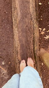 13K views · 82 reactions |  Rediscover the beauty of nature with...