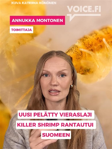 Killer Shrimp - uusi vieraslaji rantautui Suomeen