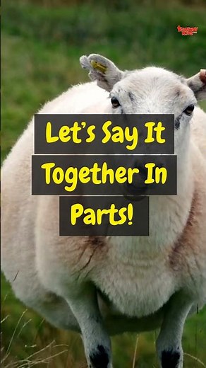 Learn Psalm 23:1 | Bible Memory Verse for Kids #Psalm23 #bibleversesforkids