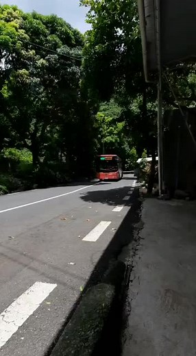 Discover Scenic Bus Rides Through Green Landscapes