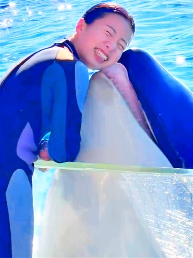 Exploring the Fascinating World of Dolphins