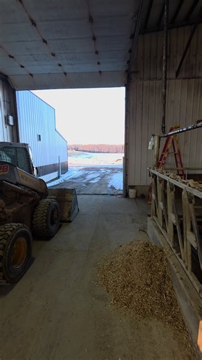 Understanding False Spring: Impacts on Dairy Farmers