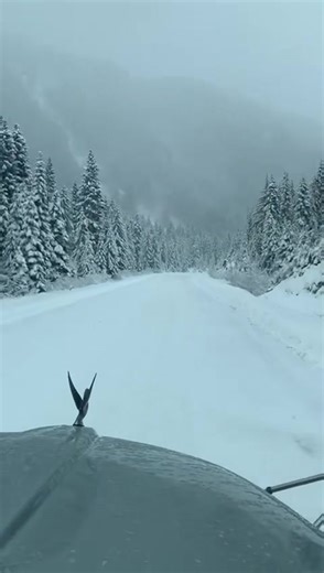 #vida #parati #tuckdriver #truc #truck #empatia | truck driving