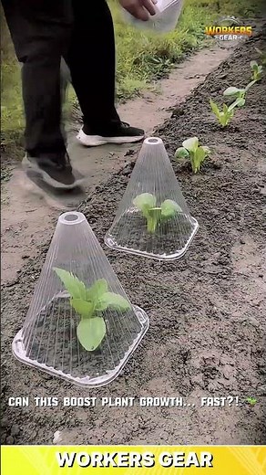 Smart & Protective Plant Covers for Growing and Shielding Seedlings in Open Field Conditions