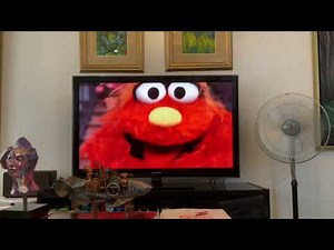 Does Murray Has a Little Lamb 🐑 has Letter K