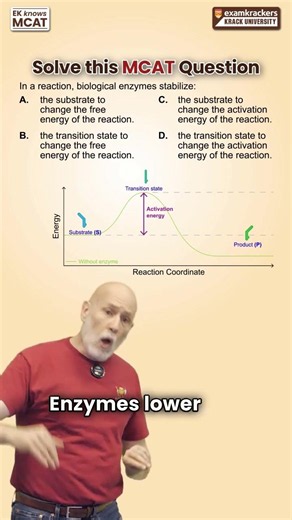 Enzyme Function - 1-Minute MCAT Question