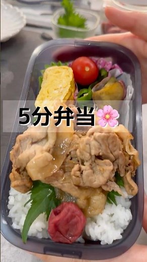 5分弁当🌸No.16、豚肉の焼肉のタレ味、冷凍作り置き活用 #お弁当 #まいにちごはん #簡単レシピ