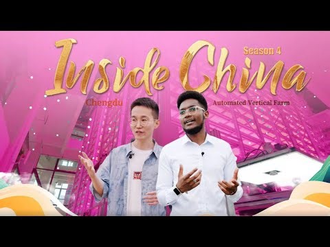 Inside China 4 | A tour of the world's first unmanned, ultra-high-rise indoor vertical farm