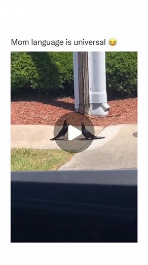 Juned | Follow @knowledge_fx99 . . .... | Instagram