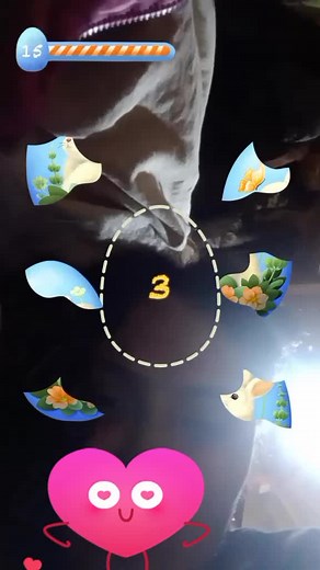 rachel ♥️ on TikTok