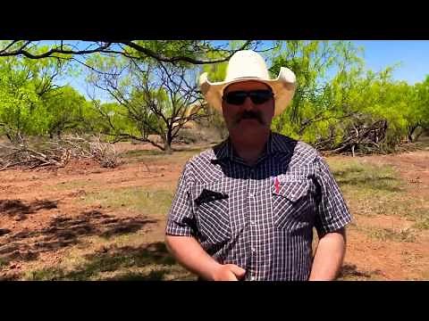 Distance Learning Series: Clearing Mesquites Trees