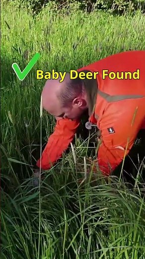 How Thermal Drones Save Baby Deer During Fawn Rescue Season 🦌 DJI Matrice 4T