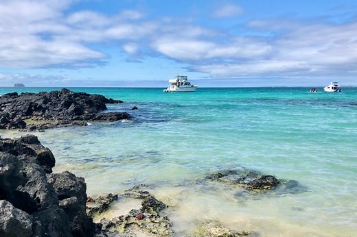 Galapagos Islands Yoga Retreats | One Yoga Global