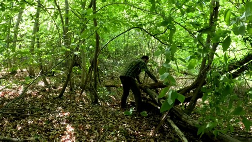 Solo Off-Grid Shelter Build Campfire Cooking _ Peaceful Forest Vibes #camping #survival #bushcraft #outdoors #lifehack | Camping survival