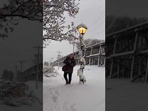 The Snow Collector