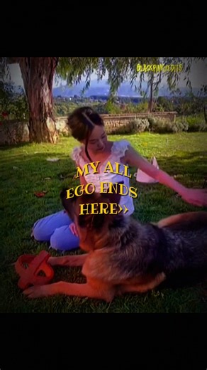 AN ANIMAL BADDIE ✨💅🏻#jennie #edit #dog #ruby #animals #baddie #fypシ #trending #shorts