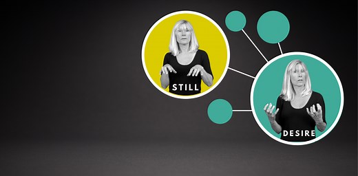 An interactive visual database for American Sign Language reveals how signs are organized in the mind