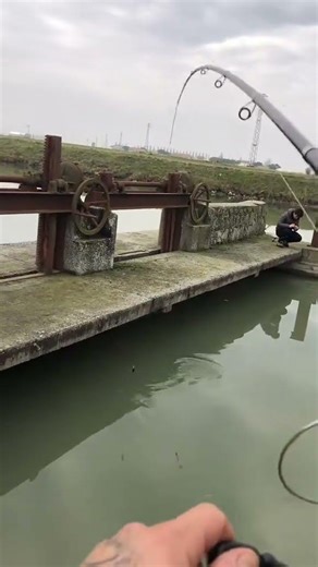 Fish Didn’t See This Coming 😱🐟 #shorts #youtubeshorts #fishhunting #fishcatch