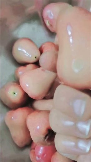 juice 🧃 Java apple 🍎#shorts #trending #fruit 😋✨