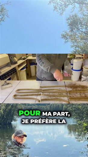 Toasted or wet hempseed: what's the secret to better attraction?