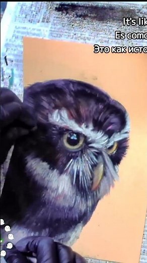フクロウの質感と羽根を描く方法 / How to Draw Owl Texture and Feathers #owl #art #animal #artshorts #illust #draw