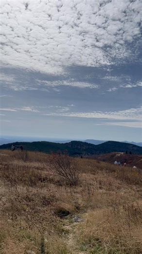 360 view | Kimberly Anne Pearson