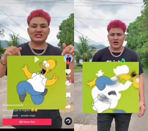 Estefania Rodriguez (@tefirodriguez6) - #dúo con @alonsosmaick #greenscreen Lo logre