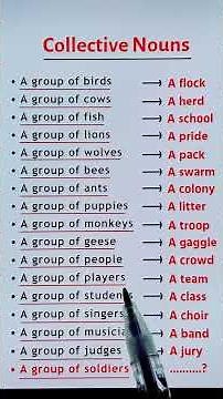 Collective Nouns with examples #wordforbeginners #capitalcity #education #spokenenglish #easyengli