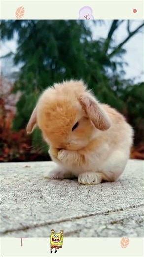 Thank you for watching,thank you for liking,I wish you happiness.#funny #narrative #pov #fyp #shorts