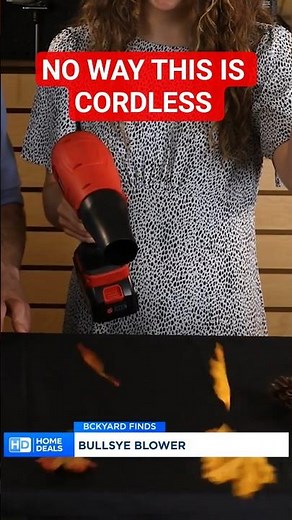 This Blower Is Way More Powerful Than It Looks