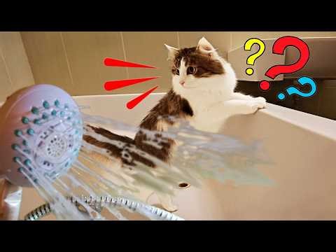 Moment He Realized... 🚿💨🙀