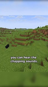 Spear myth in Minecraft #minecraft #minecraftmemes #minecraftbuilds #minecraftpe #minecraftmods | Piggy World