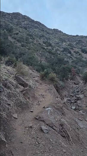 ruta cerro ñipas, chile.