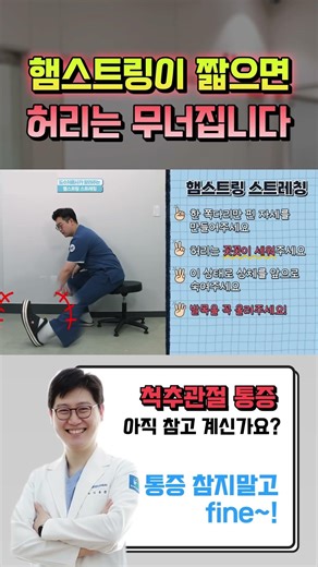 허리 펴기 힘드시죠? 30초만 여기 늘려보세요. 마법처럼 펴집니다