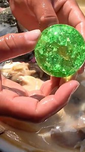 😱 The girl accidentally discovered a purple clam, with pearls shining like gemstones inside 🔮🔮 #pearl #pearls #gems #gemstones #reels | Hai jiang