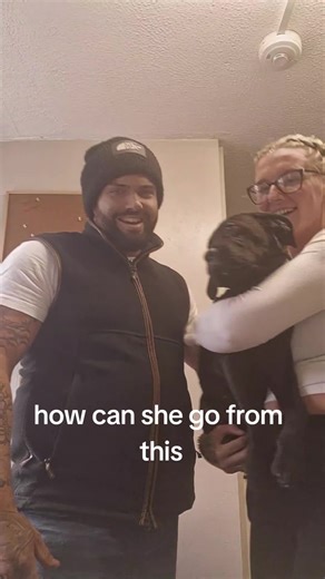 Transforming From Puppy to Full-Sized Cane Corso