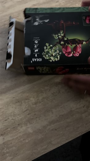 LEGO® Love Birds 🦜🩷 #lego #pourtoiii #bird #lover @LEGO