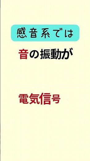 感音系で「音の振動」はどう伝わりますか？【音が脳に届く仕組み】【要約筆記者になりたい】#shorts