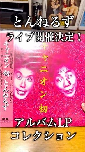 【祝】とんねるず、武道館ライブ開催決定！アルバムLPコレクション #shorts #石橋貴明 #木梨憲武 #とんねるず